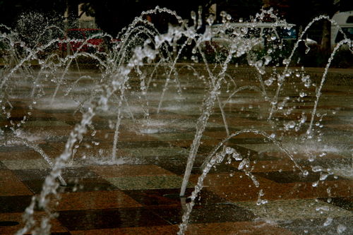 DSC02551