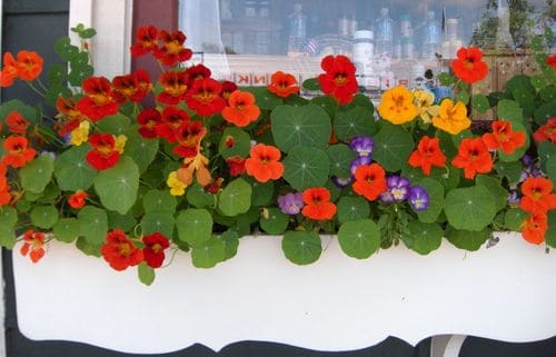 DSCN0066