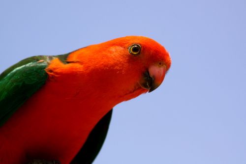 IMG_8796