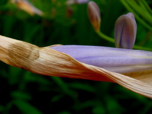 DSC05485 DSC05485