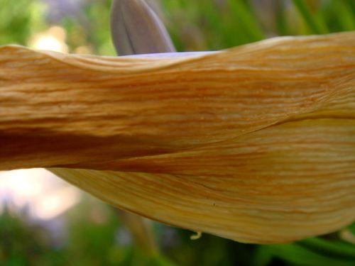 DSC05484 DSC05484