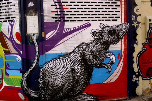 IMG_7423 IMG_7423