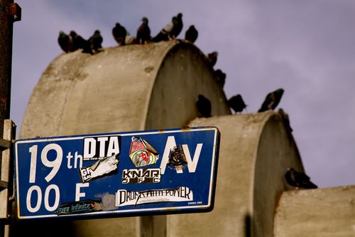 IMG_9748 IMG_9748