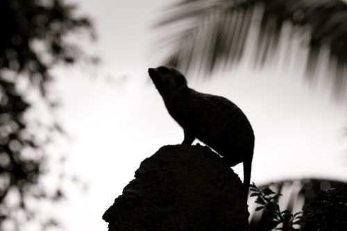 IMG_9433 IMG_9433