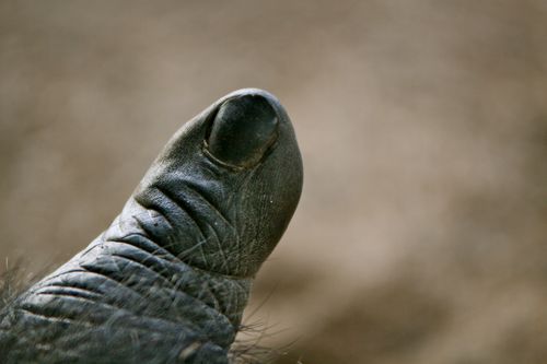 IMG_9562 IMG_9562