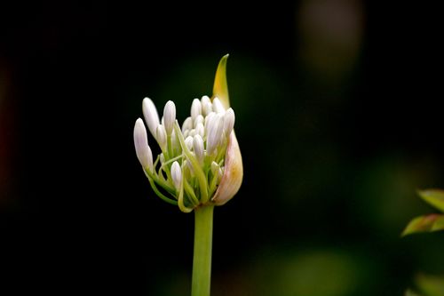 IMG_2572 IMG_2572