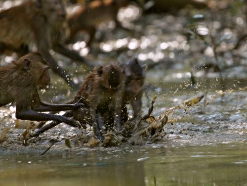 IMG_2133 IMG_2133