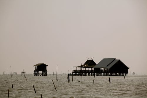 IMG_2161 IMG_2161