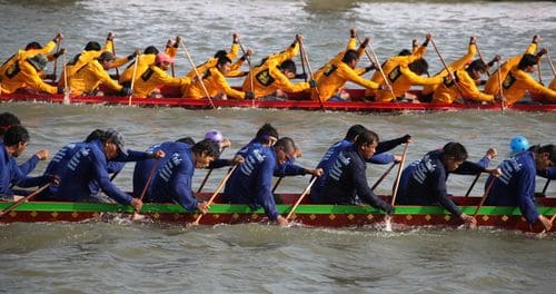 IMG_2494 IMG_2494