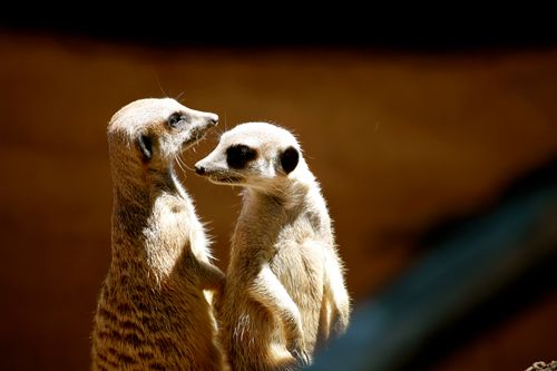IMG_3523 IMG_3523