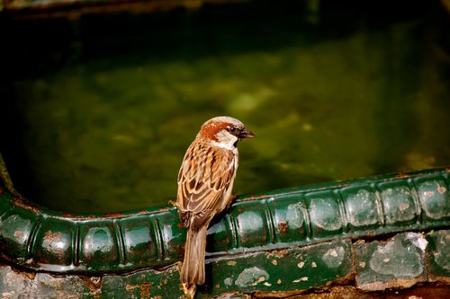 IMG_5711 IMG_5711