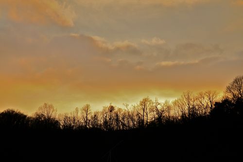 IMG_4930 IMG_4930