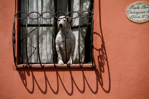 IMG_7435 IMG_7435