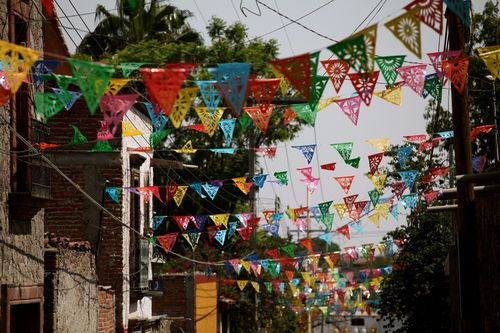 IMG_7436 IMG_7436