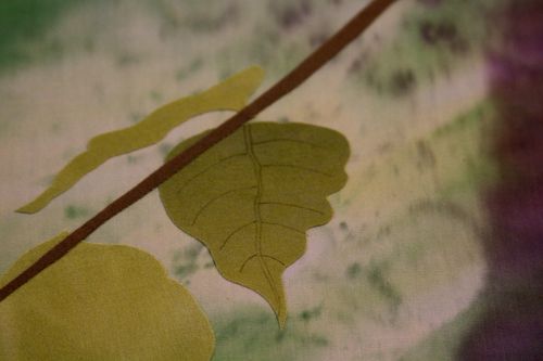 IMG_2461 IMG_2461