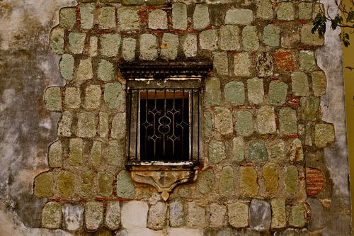 IMG_8365 IMG_8365