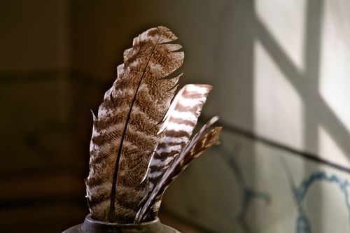 IMG_9248 IMG_9248