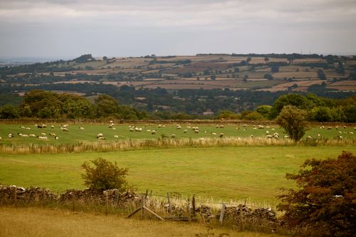 IMG_1310 IMG_1310