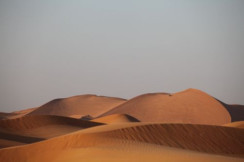 IMG_3699 IMG_3699