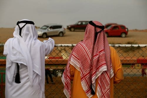 IMG_4183 IMG_4183