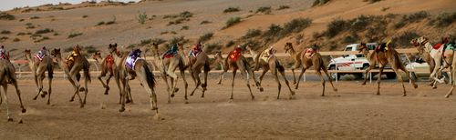IMG_4210 IMG_4210