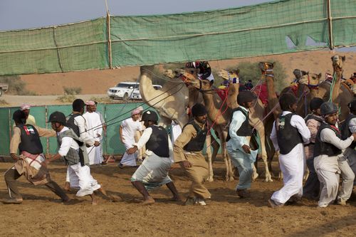 IMG_4228 IMG_4228