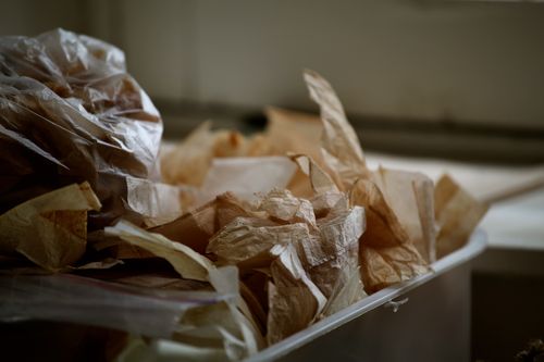 IMG_5246 IMG_5246