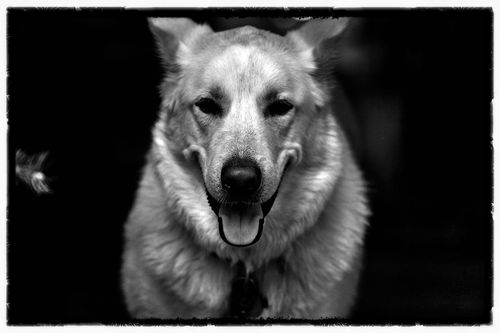 IMG_0147 IMG_0147