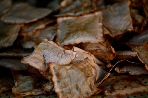 IMG_5832 IMG_5832