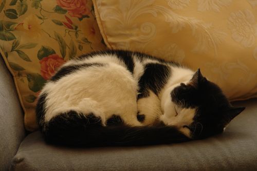 DSC03435 DSC03435
