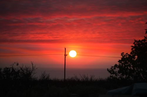 IMG_9973_pe IMG_9973_pe
