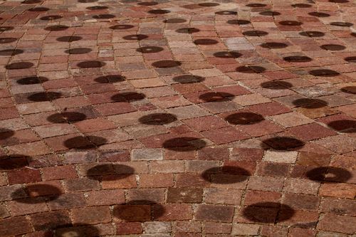 IMG_2329 IMG_2329