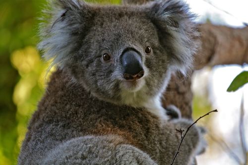 IMG_7605 IMG_7605