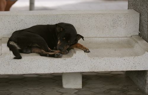 IMG_7379 IMG_7379