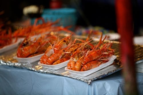 IMG_7412 IMG_7412