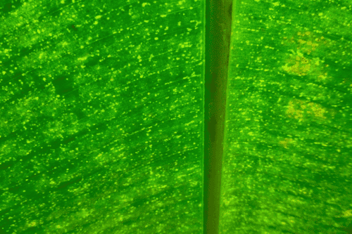P1040198 P1040198