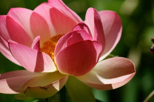 IMG_9495 IMG_9495