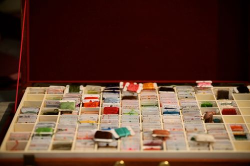 IMG_9950 IMG_9950
