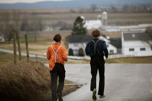 IMG_0586 IMG_0586