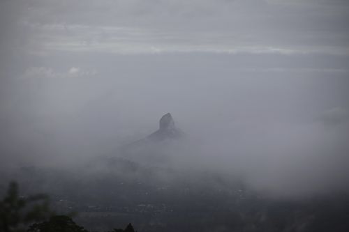 IMG_0442 IMG_0442