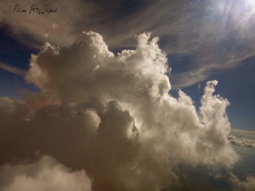 IMG_0224 IMG_0224