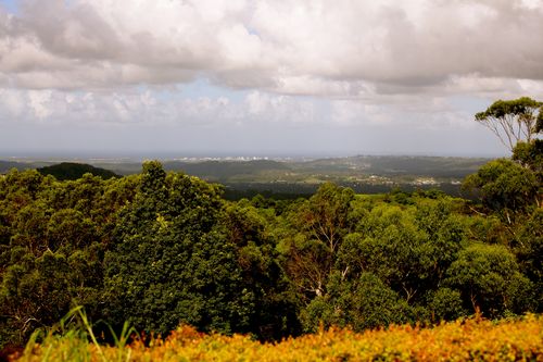 IMG_0295 IMG_0295