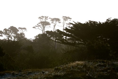 IMG_2459 IMG_2459