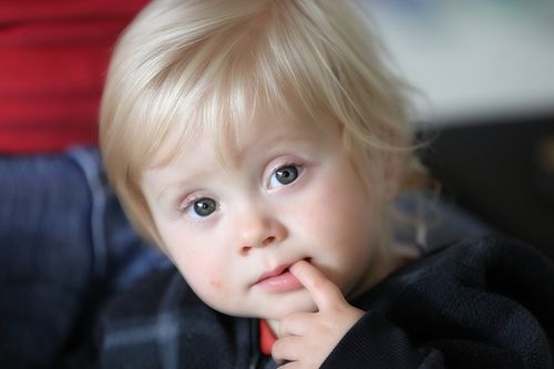 IMG_2131_pe IMG_2131_pe