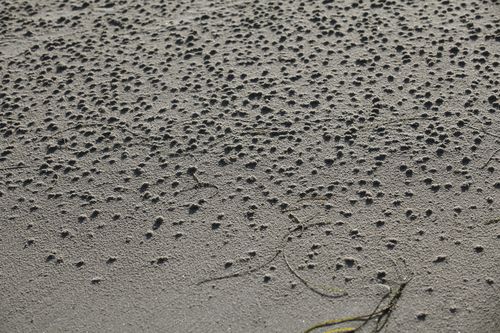 IMG_2380 IMG_2380