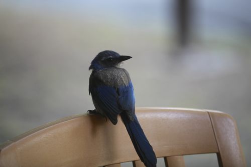 IMG_2383 IMG_2383