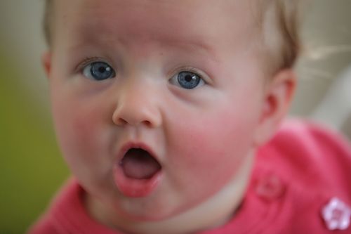 IMG_2160_pe IMG_2160_pe