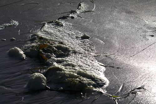 IMG_2436 IMG_2436
