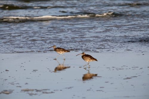 IMG_2444 IMG_2444