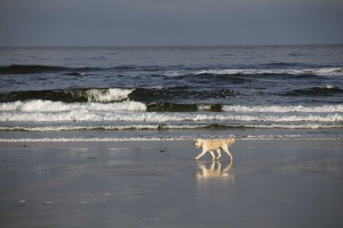 IMG_2375 IMG_2375